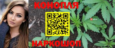 ешки Гагарин